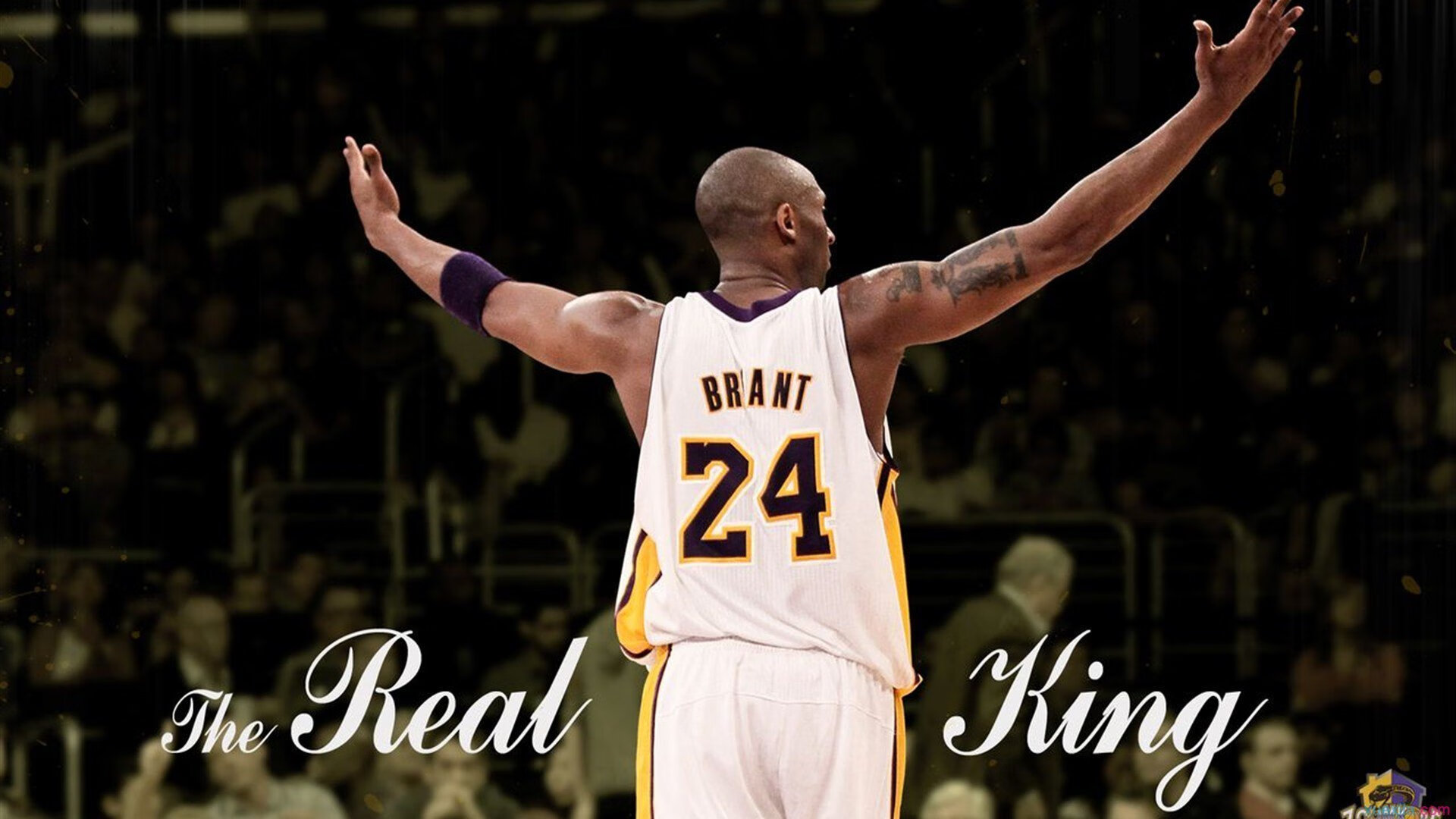 小组赛“黑马”球队的奇迹故事,nba黑马球队